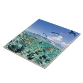 Lagoon safari-reis met Stingrays Tegeltje (Zijkant)