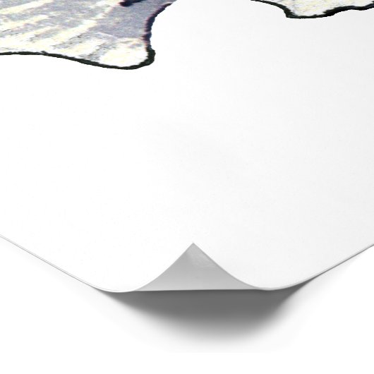 Lagoon Triggerfish Wall Art Poster (Hoek)