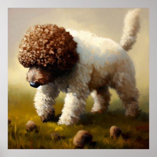 Lagotto Romagnolo Dog Poster (Voorkant)