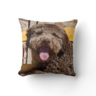 Lagotto Romagnolo Liggend Op Een Houten Bank