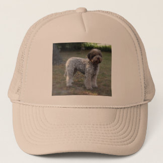 lagotto-romagnolo-pet trucker pet