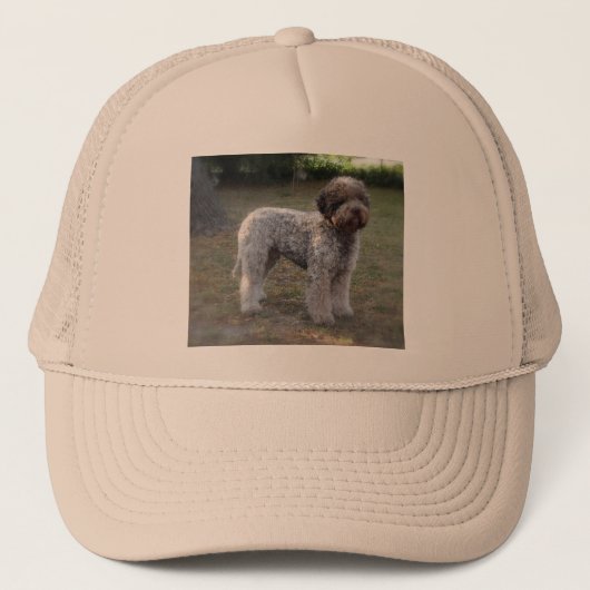 lagotto-romagnolo-pet trucker pet (Voorkant)