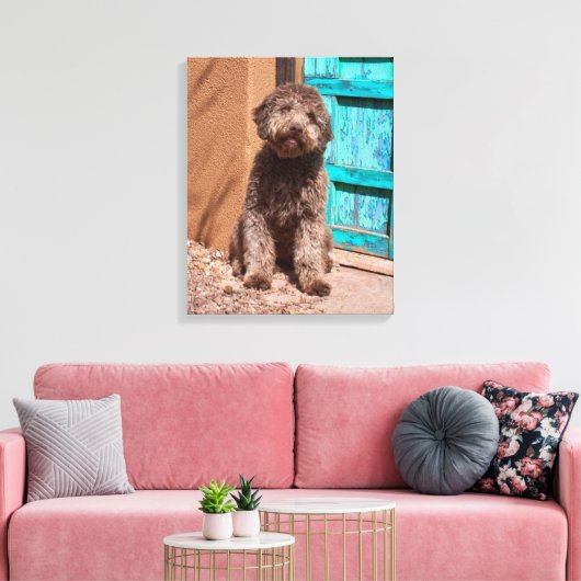 Lagotto Romagnolo wacht op een blauwe deur Canvas Afdruk (Insitu (Woonkamer))
