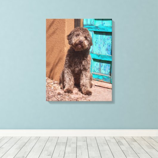 Lagotto Romagnolo wacht op een blauwe deur Canvas Afdruk (Insitu (Houten vloer))