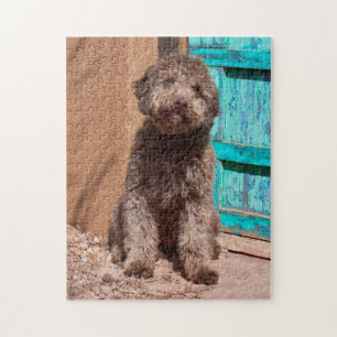 Lagotto Romagnolo wacht op een blauwe deur Legpuzzel