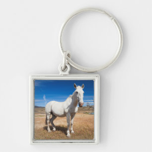 Laguna Azul, landschap met paarden Sleutelhanger