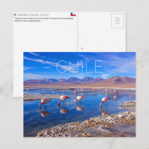 Laguna Chaxa, Atacama, Chili Reisansichtkaart Briefkaart