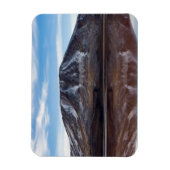 Laguna Colorada Magneet (Verticaal)