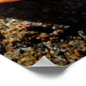 Laguna Zee Shell op een rots Poster (Hoek)