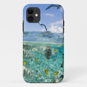Lagune safari trip met Stingrays iPhone 11 Hoesje