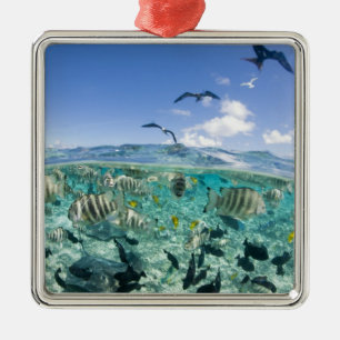 Lagune safari trip met Stingrays Metalen Ornament