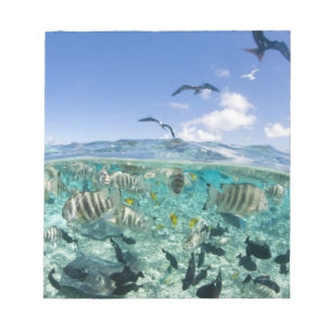 Lagune safari trip met Stingrays Notitieblok