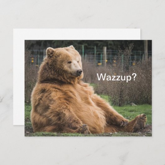 laid-back grizzly Beer Briefkaart (Voorkant / Achterkant)