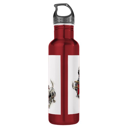 L'aide est en route ! Bouteille en acier inoxydabl (Dos)