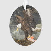 L'aigle chauve ultime (devant)