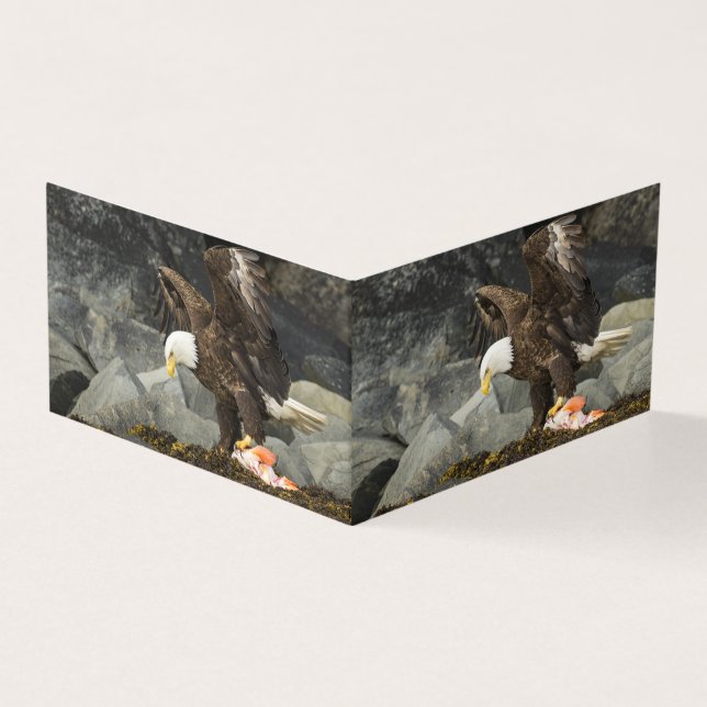 L'aigle chauve ultime (Outside)
