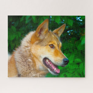 Laika Honden Legpuzzels. Legpuzzel