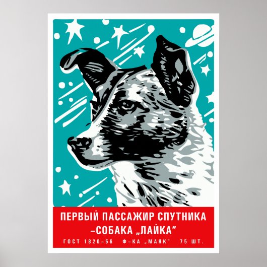 Laika, le premier chien spatial — affiche spatiale (Devant)