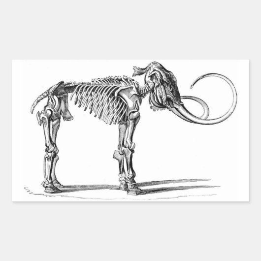 Laine Mammoth Squelette autocollants (Devant)