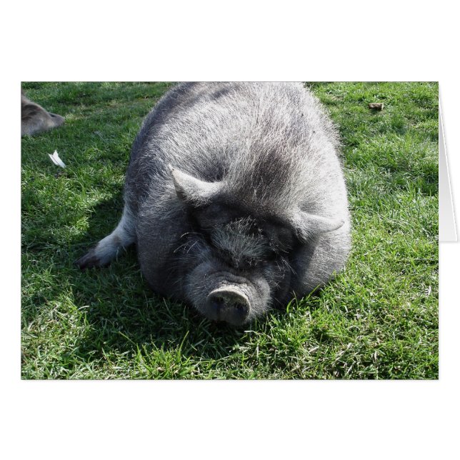 laisse-moi tranquille (Devant horizontal)