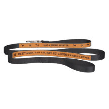 Pudelpointer Dog Leash