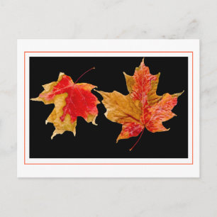 laisse tomber les cartes postales