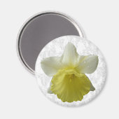 Laisser Daffodil Magnet (Recto/Verso)