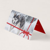 Laisser neiger (Front)