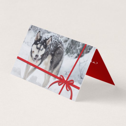 Laisser neiger (Front)