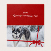 Laisser neiger (Outside Unfolded)