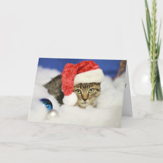 Laisser neiger Cat Carte de Noël