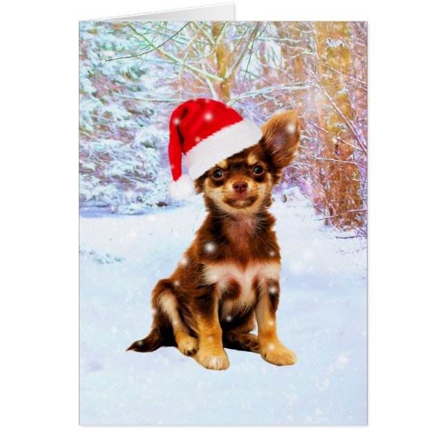 Laisser neiger Noël Chihuahua Chig (Devant)