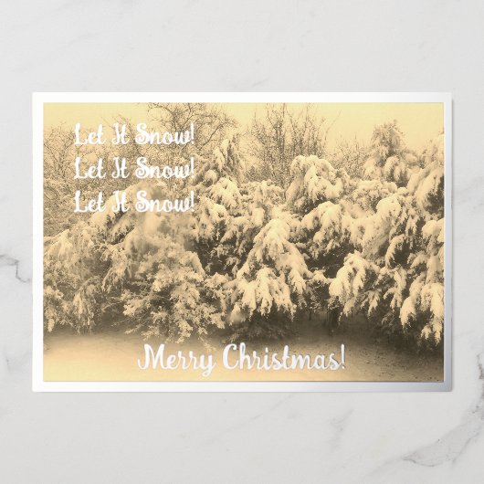 Laisser neiger vacances (Recto)