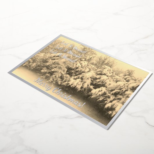 Laisser neiger vacances (Rotation)