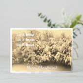 Laisser neiger vacances (Debout devant)