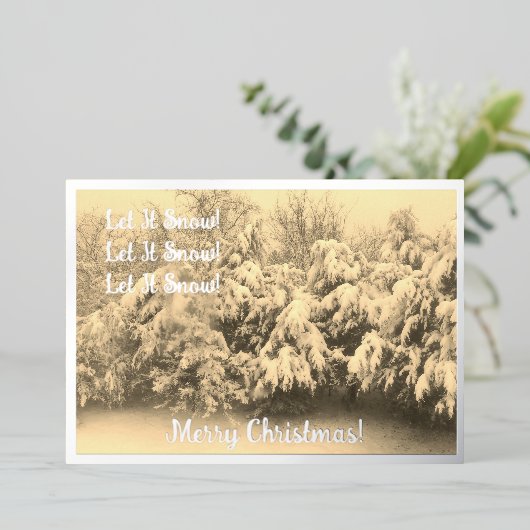 Laisser neiger vacances (Debout devant)