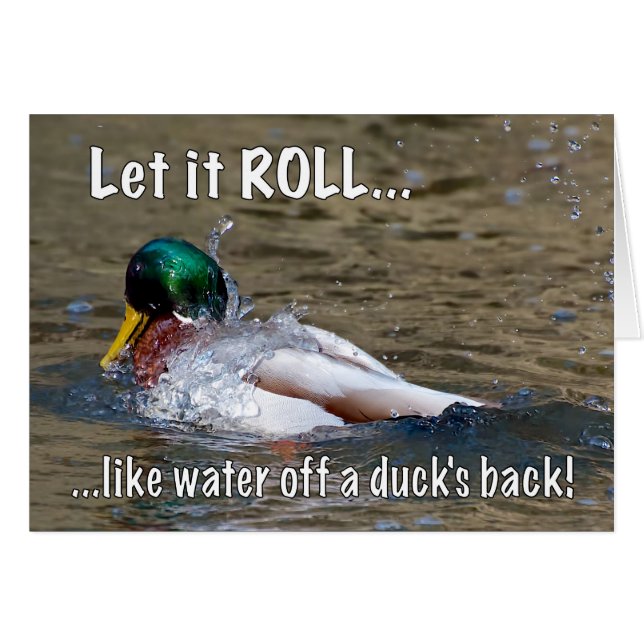 Laisser ROLL (Devant horizontal)