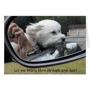 "Laissez la brise souffler par vos cheveux "