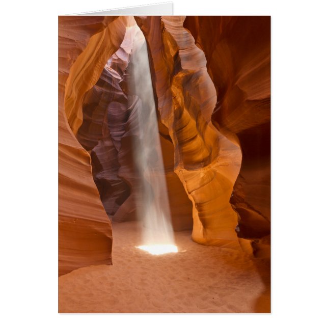 Laissez l'éclat léger (Devant)