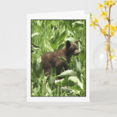 Laissez les ours être la carte des ours (Fleur jaune)