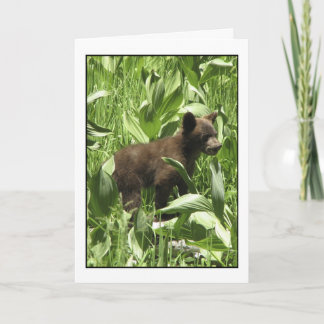 Laissez les ours être la carte des ours