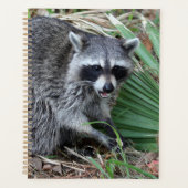 Laissez-moi tranquille (Devant)