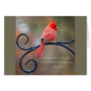 Laissez mon âme se reposer Carte de note Cardinal