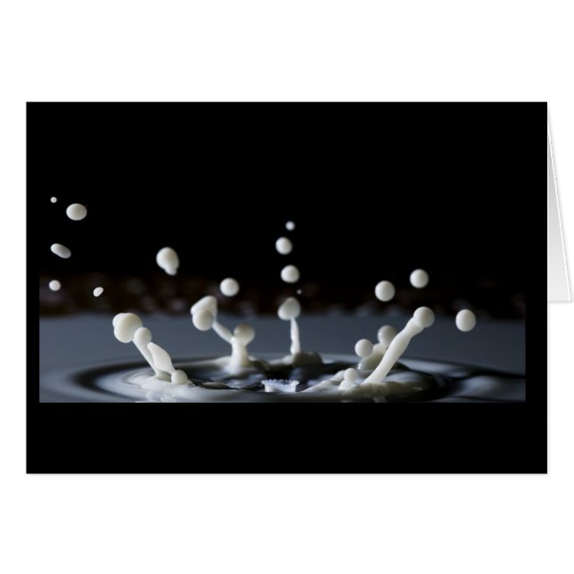 Lait (Devant horizontal)