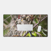 Laiterie bohème, reposant sur une branche (Clavier et souris)