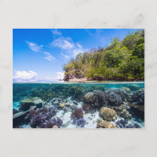 Laja Ampat Underwater 2 Briefkaart