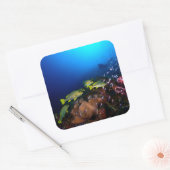 Laja Ampat Underwater 3 Vierkante Sticker (Envelop)