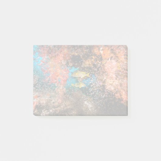 Laja Ampat Underwater 6 Post-it® Notes (Voorkant)