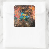 Laja Ampat Underwater 6 Vierkante Sticker (Tas)