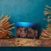 Laja Ampat Underwater Fotoplaat (Zijkant)